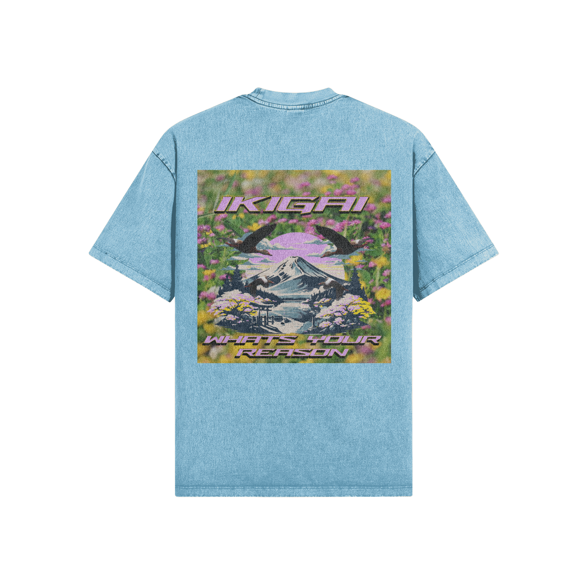 0-YCD-Back Side